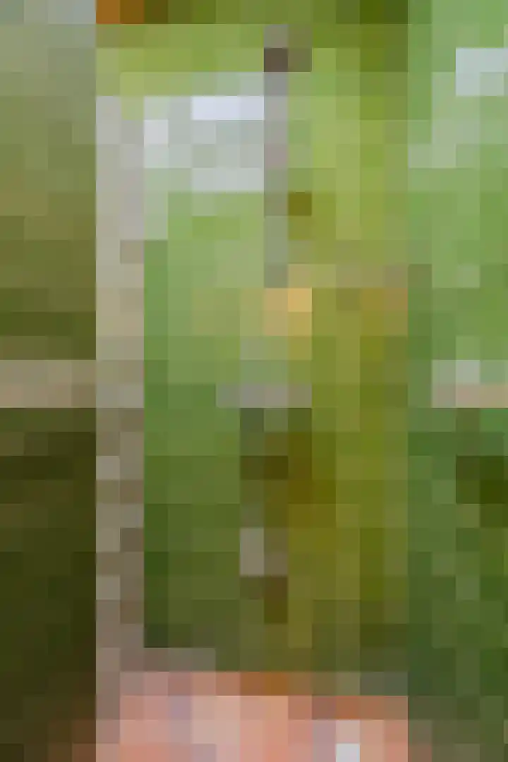 Klavecimbellaan 10 Uden thumbnail 27