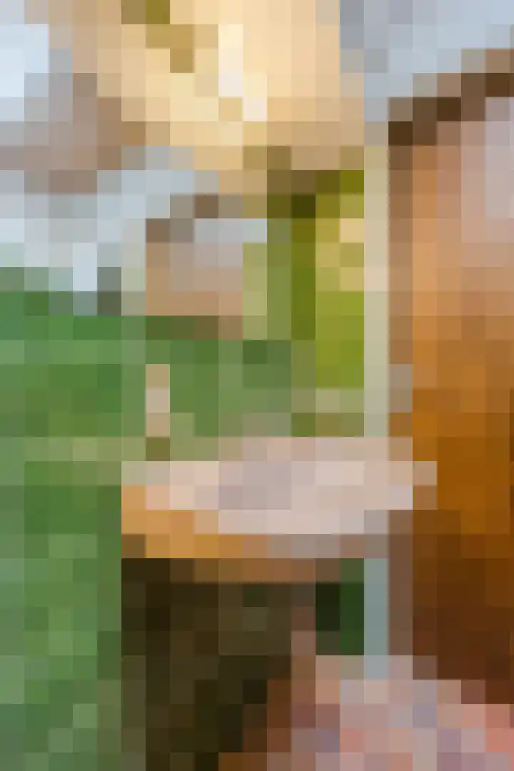 Klavecimbellaan 10 Uden thumbnail 28