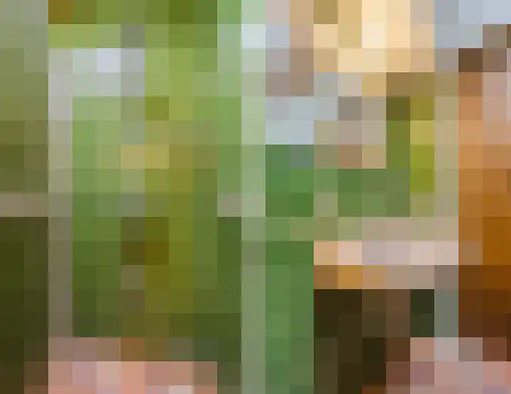 Klavecimbellaan 10 Uden thumbnail 29