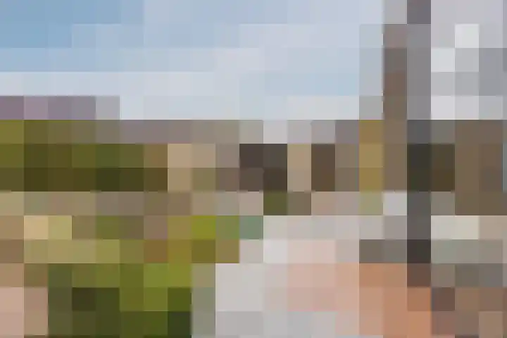 Klavecimbellaan 10 Uden thumbnail 33