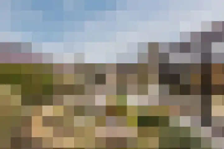 Klavecimbellaan 10 Uden thumbnail 36