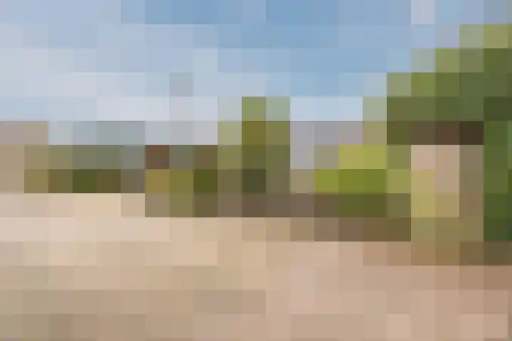 Klavecimbellaan 10 Uden thumbnail 39