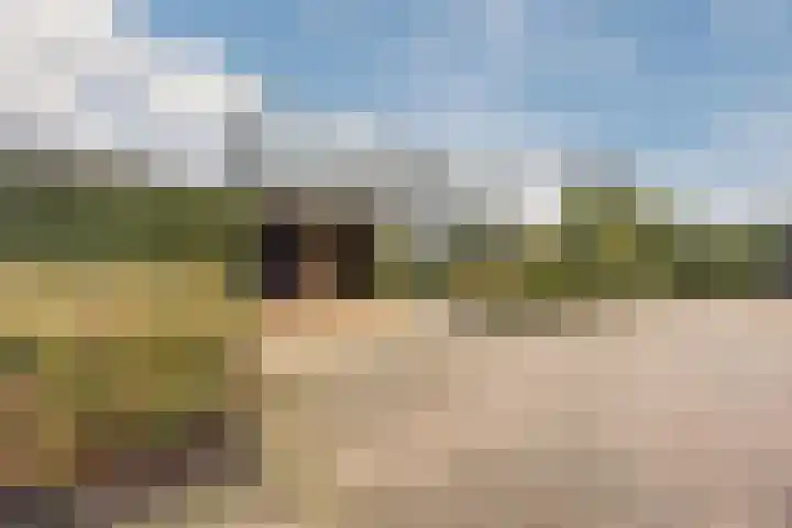 Klavecimbellaan 10 Uden thumbnail 4