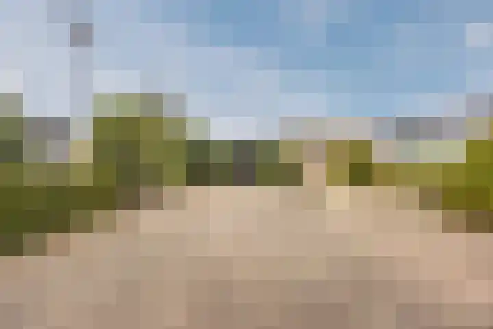 Klavecimbellaan 10 Uden thumbnail 40
