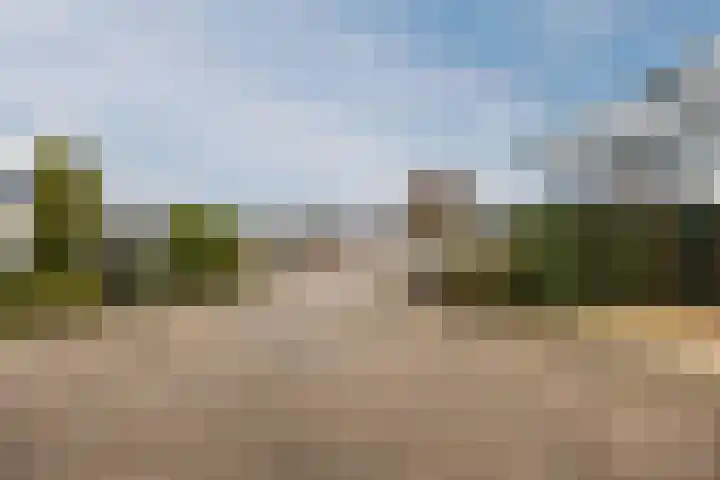 Klavecimbellaan 10 Uden thumbnail 41