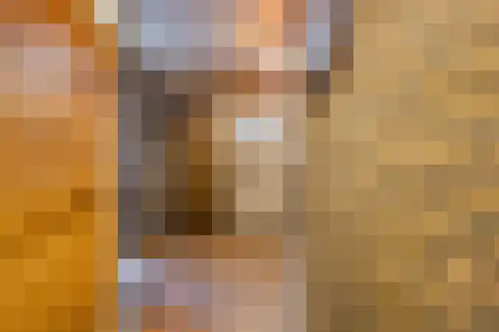 Klavecimbellaan 10 Uden thumbnail 6