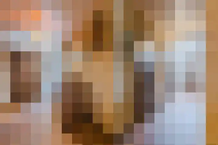 Klavecimbellaan 10 Uden thumbnail 7