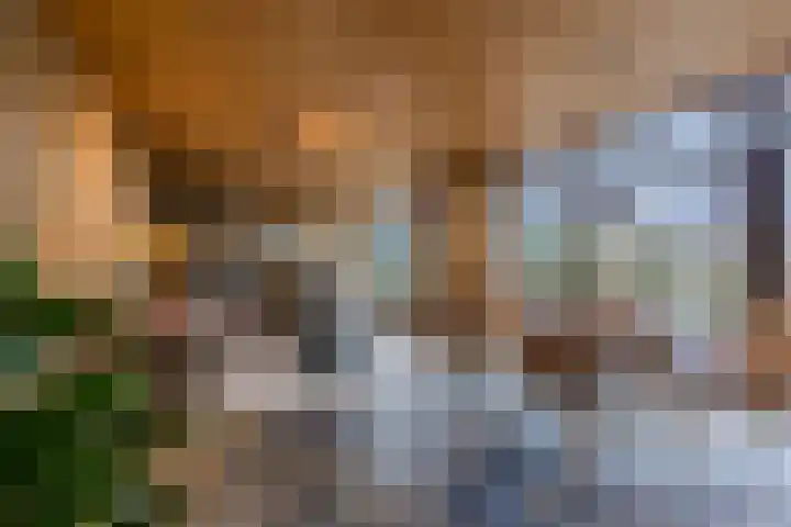 Klavecimbellaan 10 Uden thumbnail 9