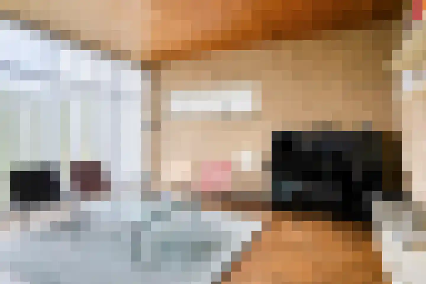 Klavecimbellaan 12 Uden thumbnail 10