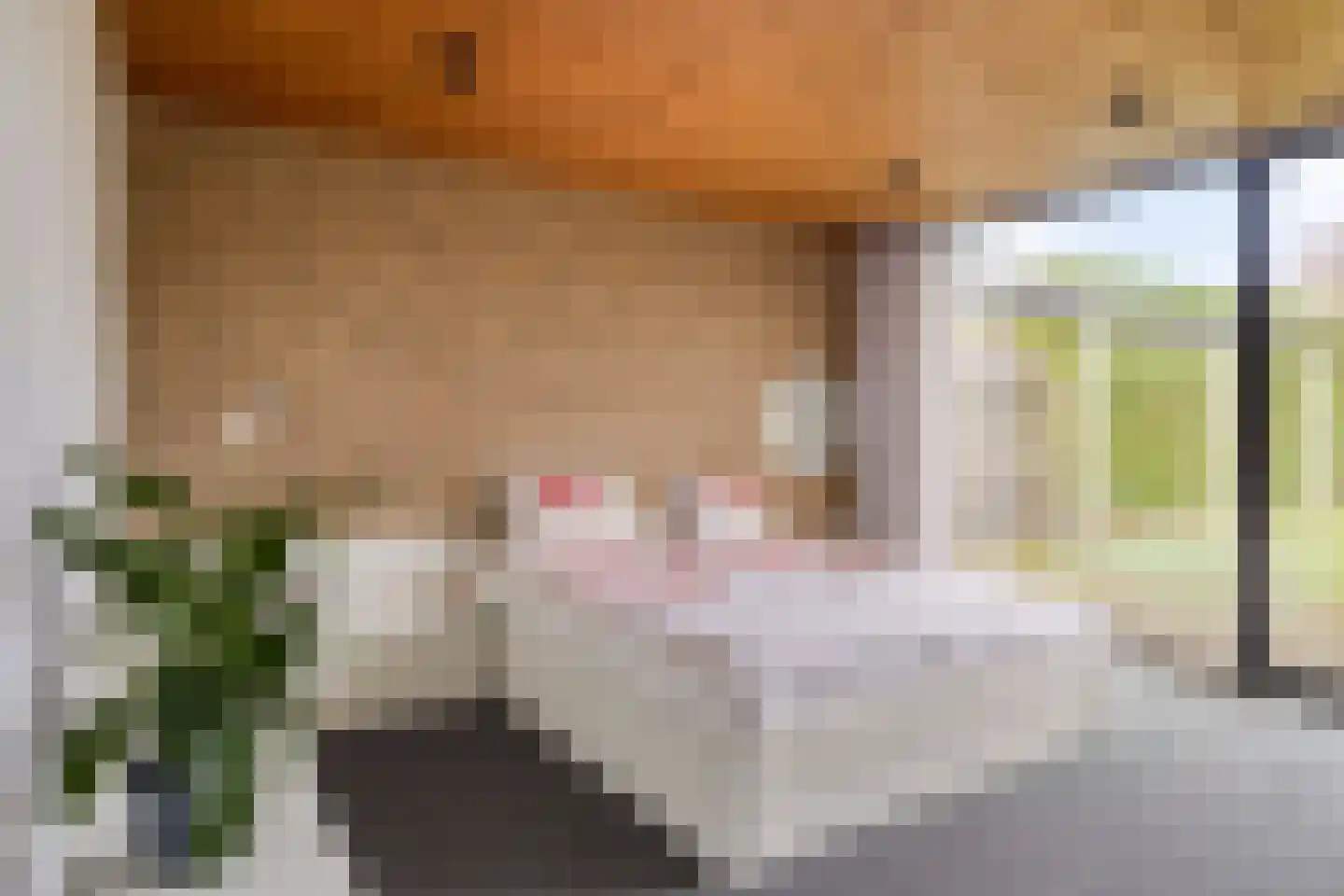 Klavecimbellaan 12 Uden thumbnail 19