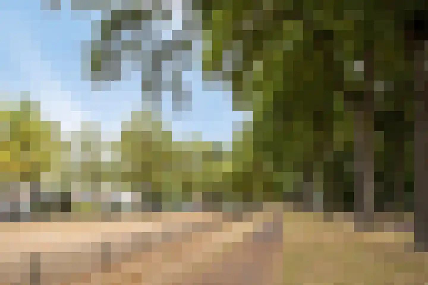 Klavecimbellaan 12 Uden thumbnail 34