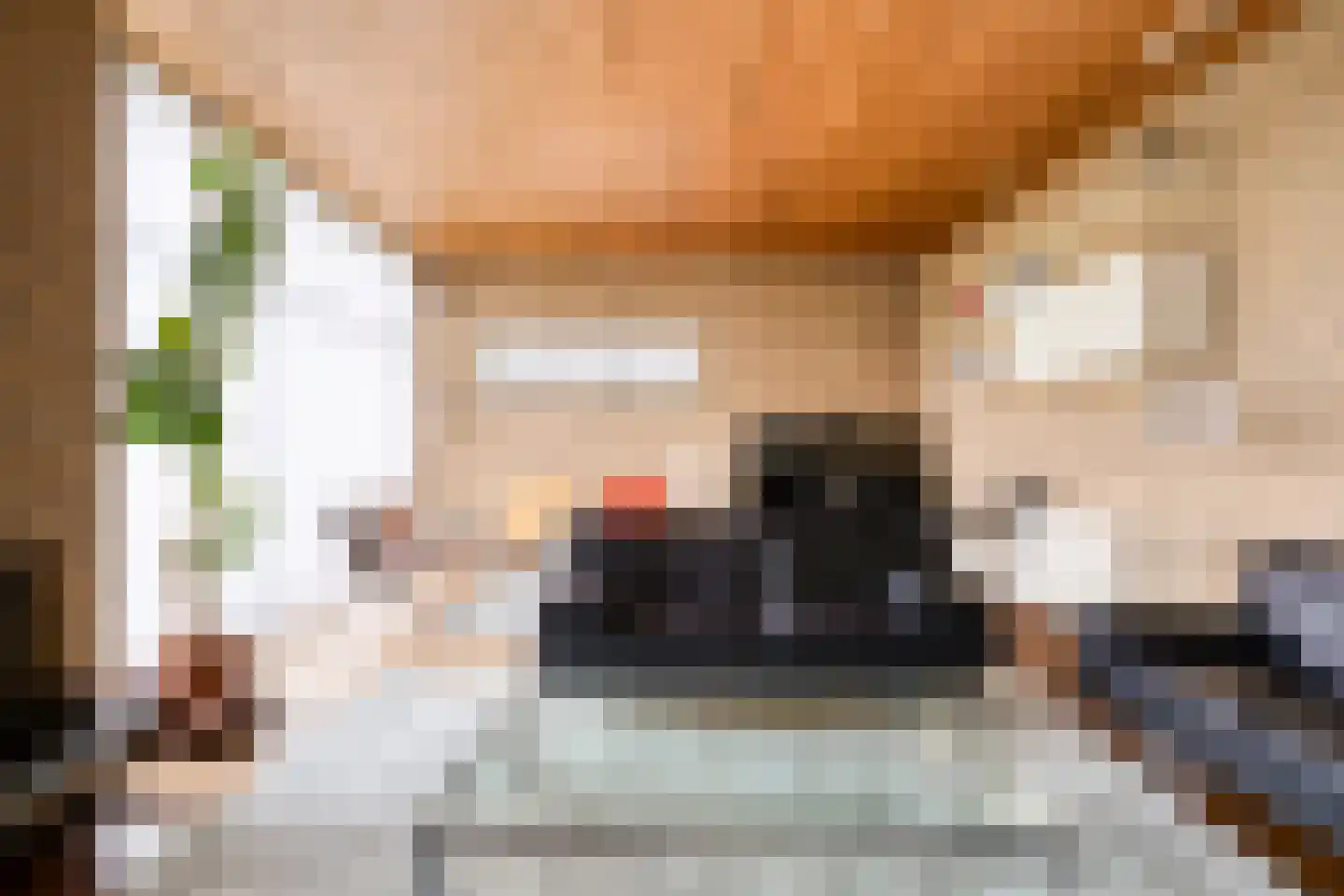 Klavecimbellaan 12 Uden thumbnail 9