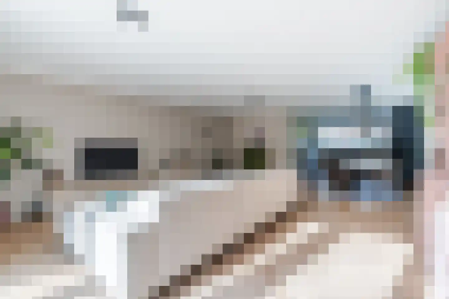Klavecimbellaan 17 Eindhoven thumbnail 5