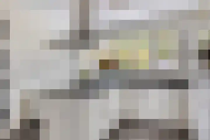Klavecimbellaan 5 Eindhoven thumbnail 12