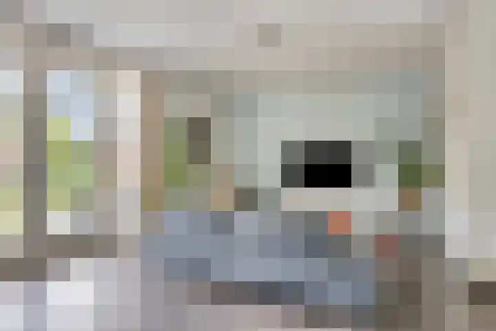 Klavecimbellaan 5 Eindhoven thumbnail 16