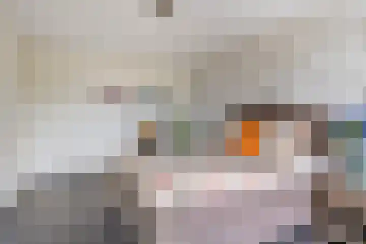 Klavecimbellaan 5 Eindhoven thumbnail 20
