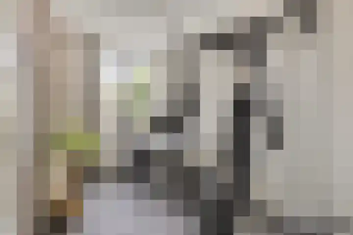 Klavecimbellaan 5 Eindhoven thumbnail 27