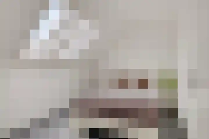 Klavecimbellaan 5 Eindhoven thumbnail 30