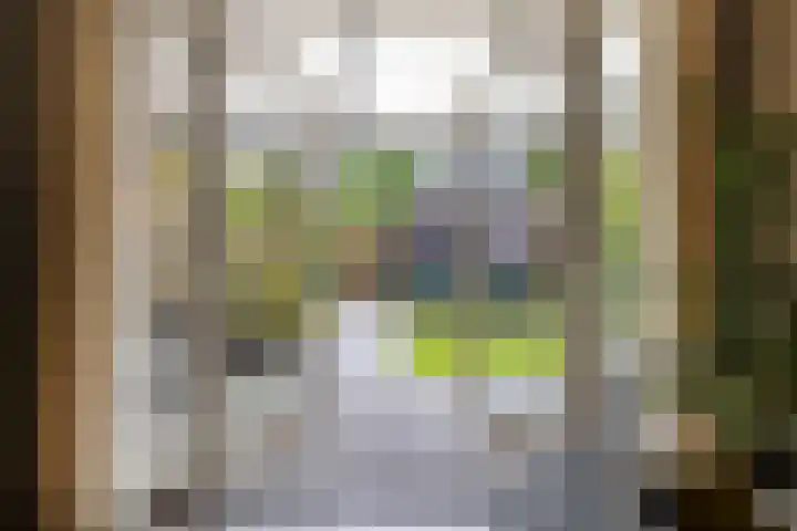 Klavecimbellaan 5 Eindhoven thumbnail 33