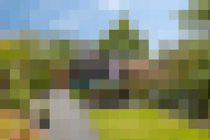 Klavecimbellaan 5 Eindhoven thumbnail 6