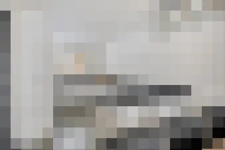 Klavecimbellaan 67 Eindhoven thumbnail 17