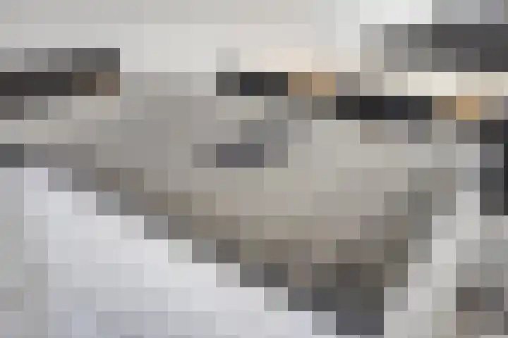 Klavecimbellaan 67 Eindhoven thumbnail 20