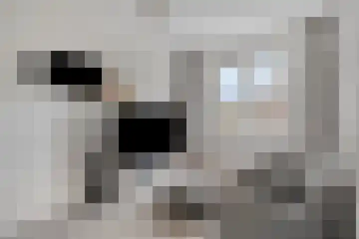 Klavecimbellaan 67 Eindhoven thumbnail 30