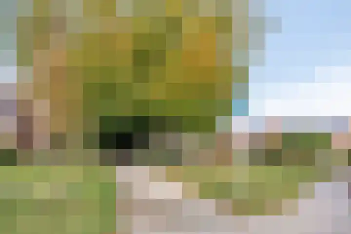 Klavecimbellaan 67 Eindhoven thumbnail 45