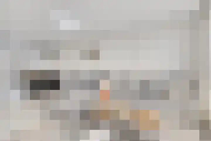Klavecimbellaan 67 Eindhoven thumbnail 8