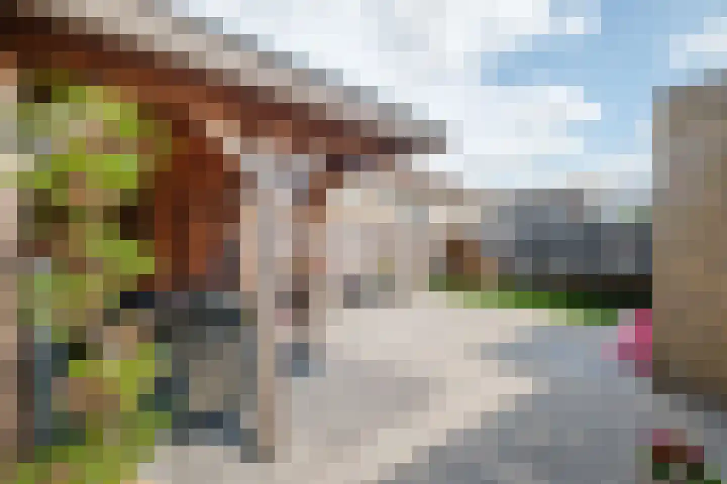 Klaver 15 IJsselmuiden thumbnail 40