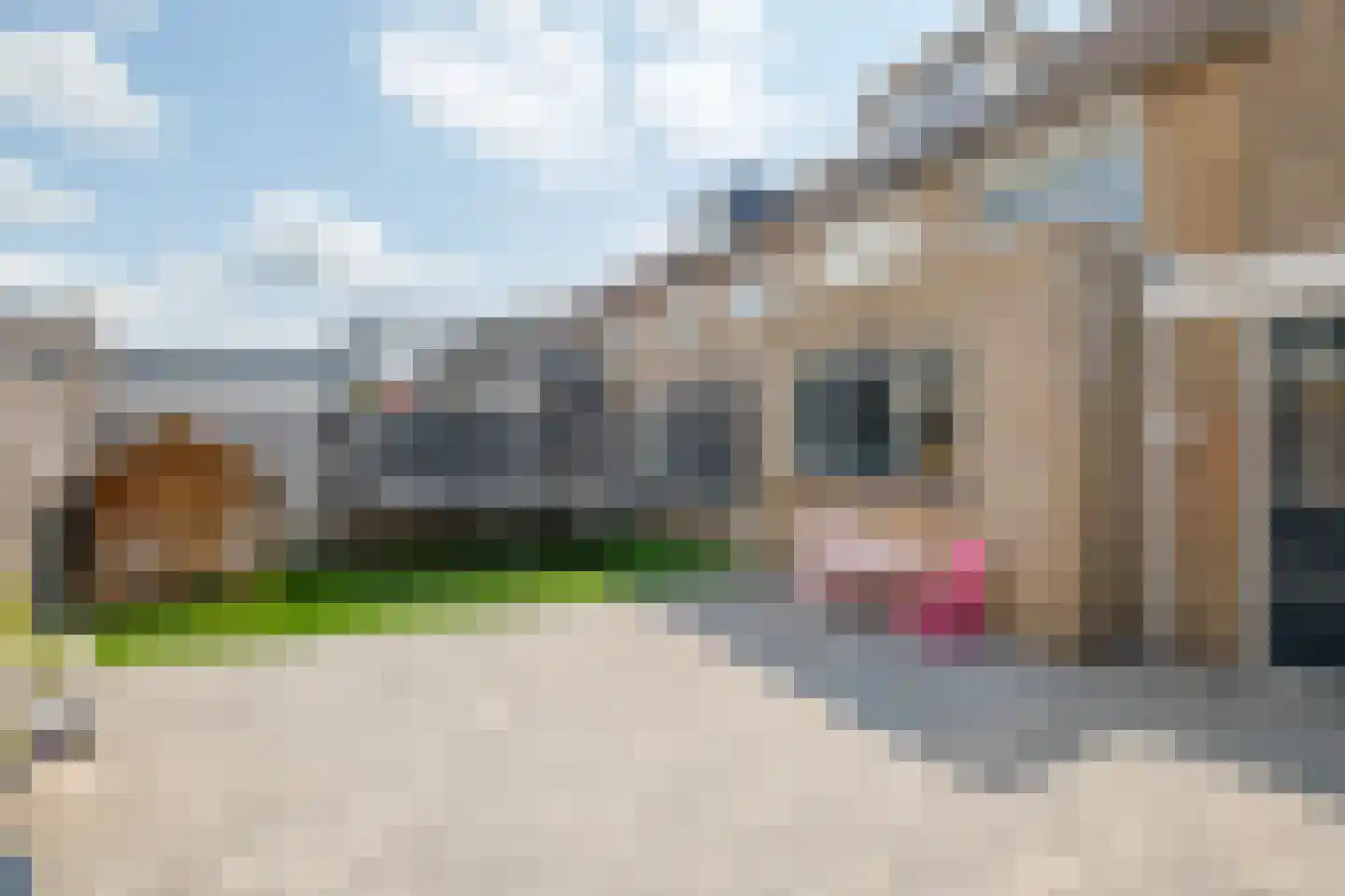 Klaver 15 IJsselmuiden thumbnail 41