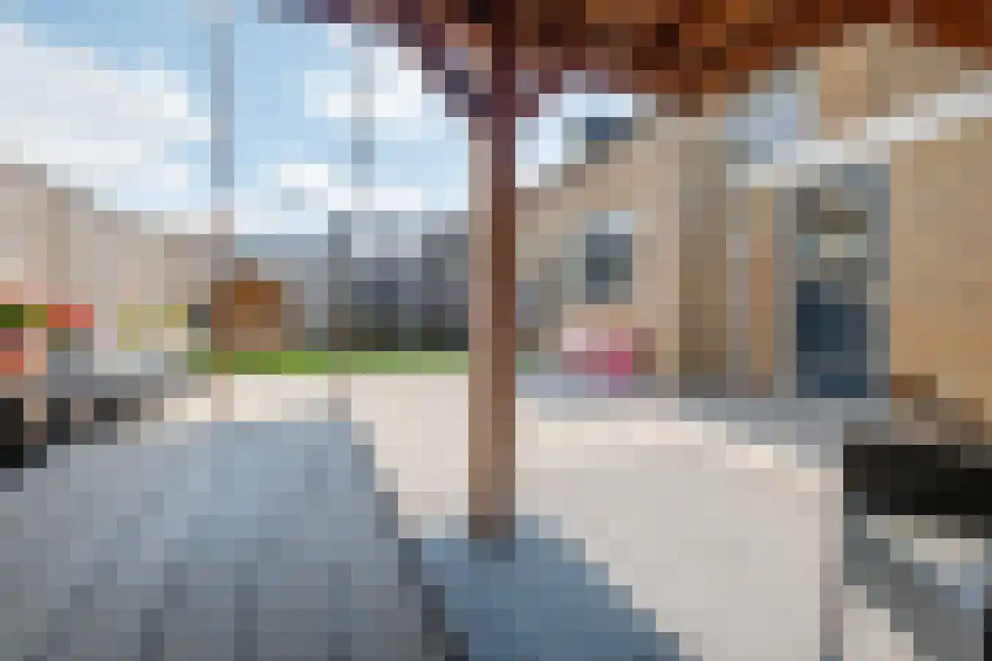 Klaver 15 IJsselmuiden thumbnail 42