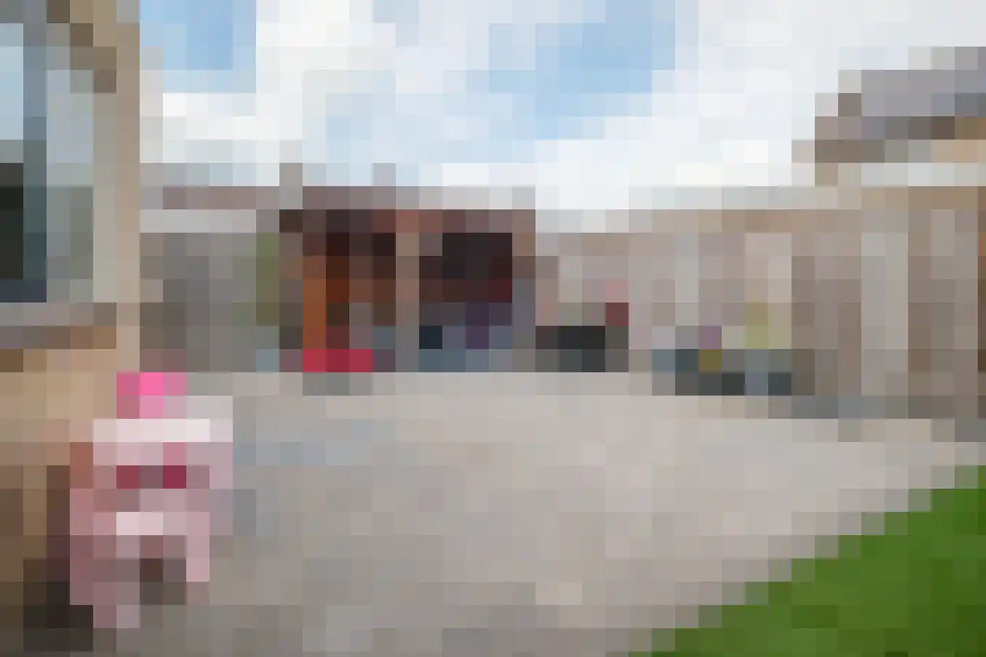 Klaver 15 IJsselmuiden thumbnail 43