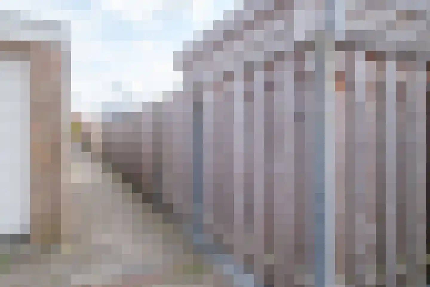 Klaver 15 IJsselmuiden thumbnail 48