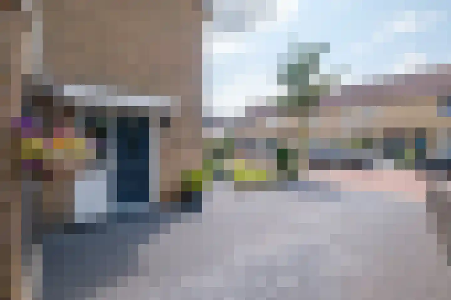 Klaver 15 IJsselmuiden thumbnail 51