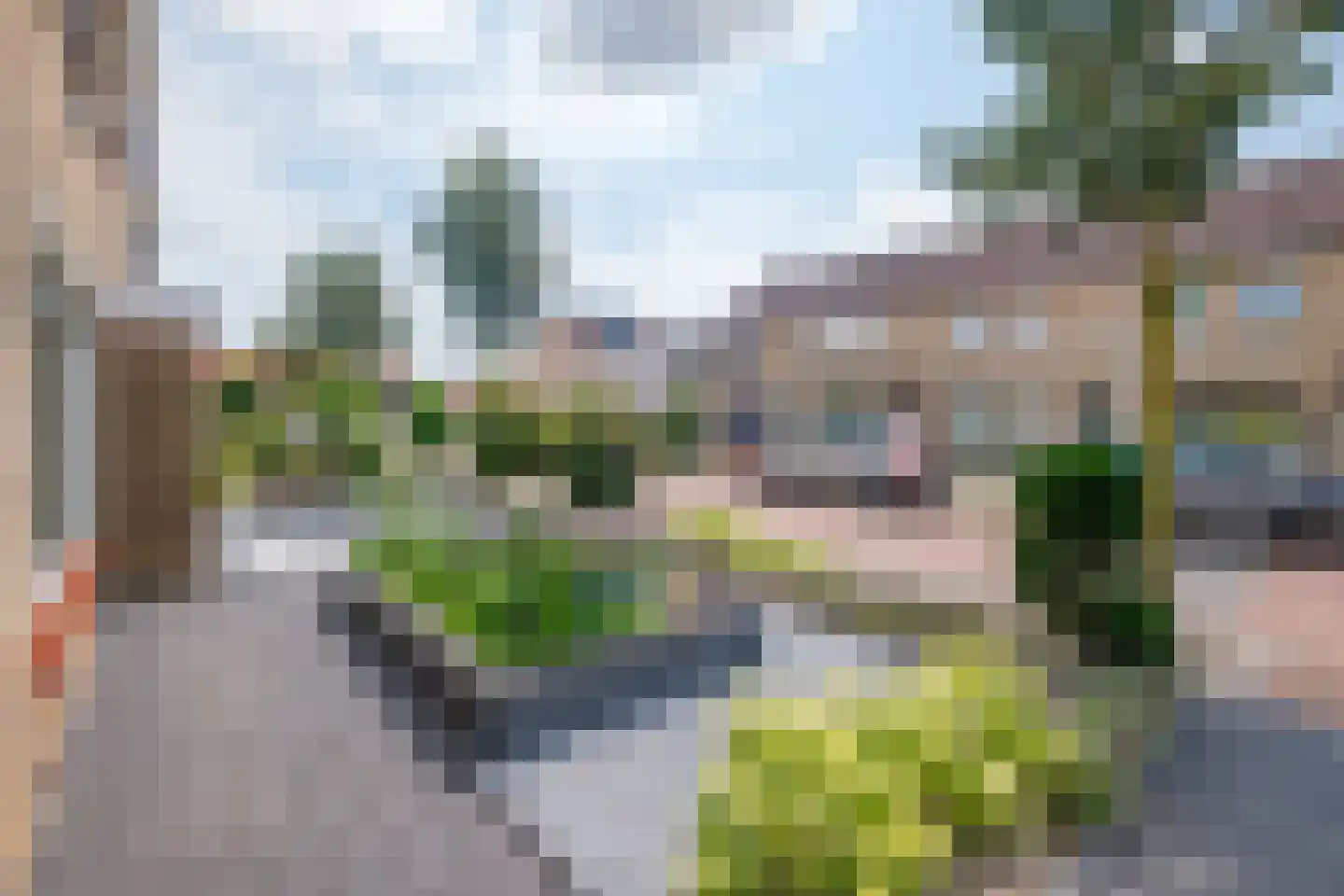 Klaver 15 IJsselmuiden thumbnail 52