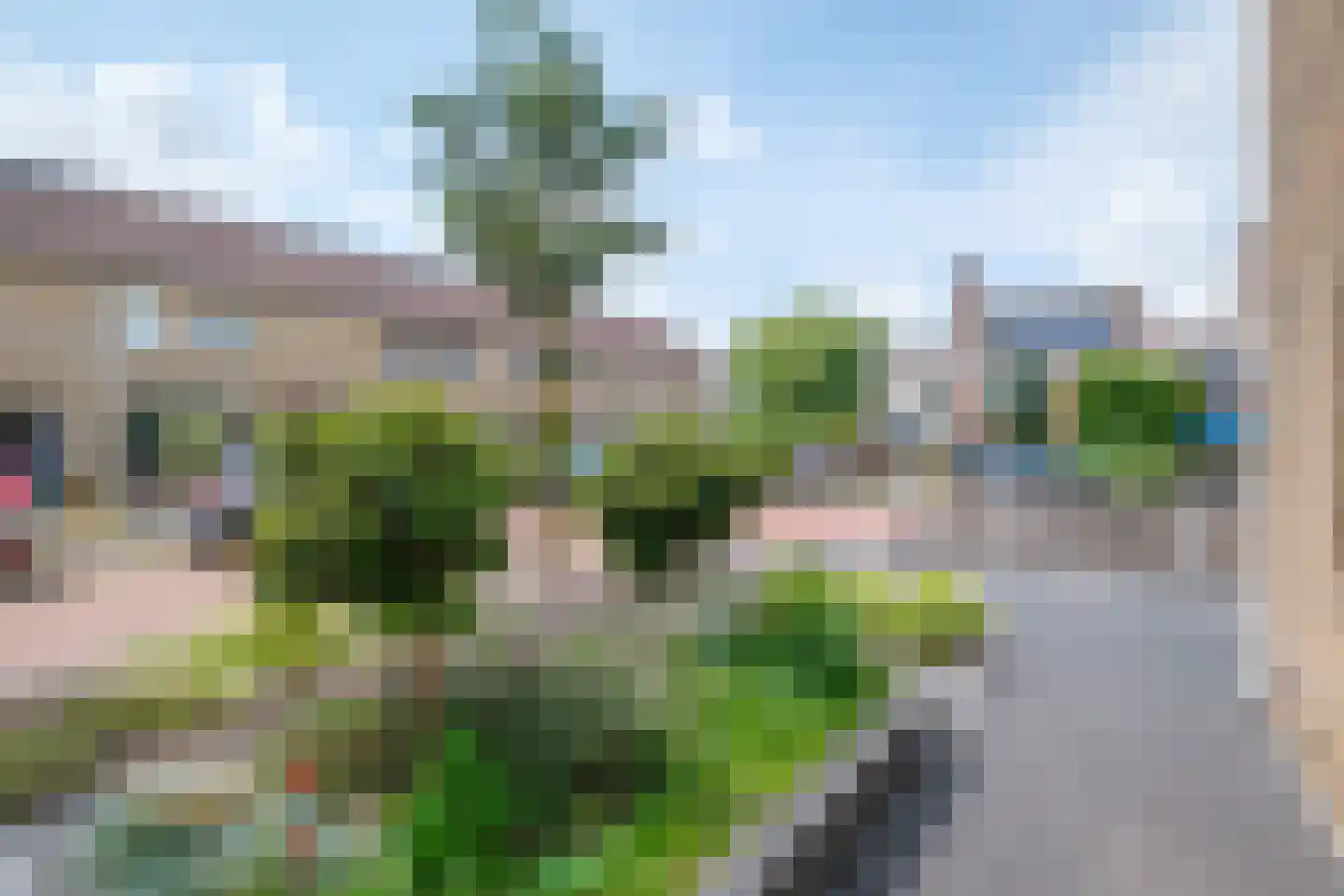 Klaver 15 IJsselmuiden thumbnail 53
