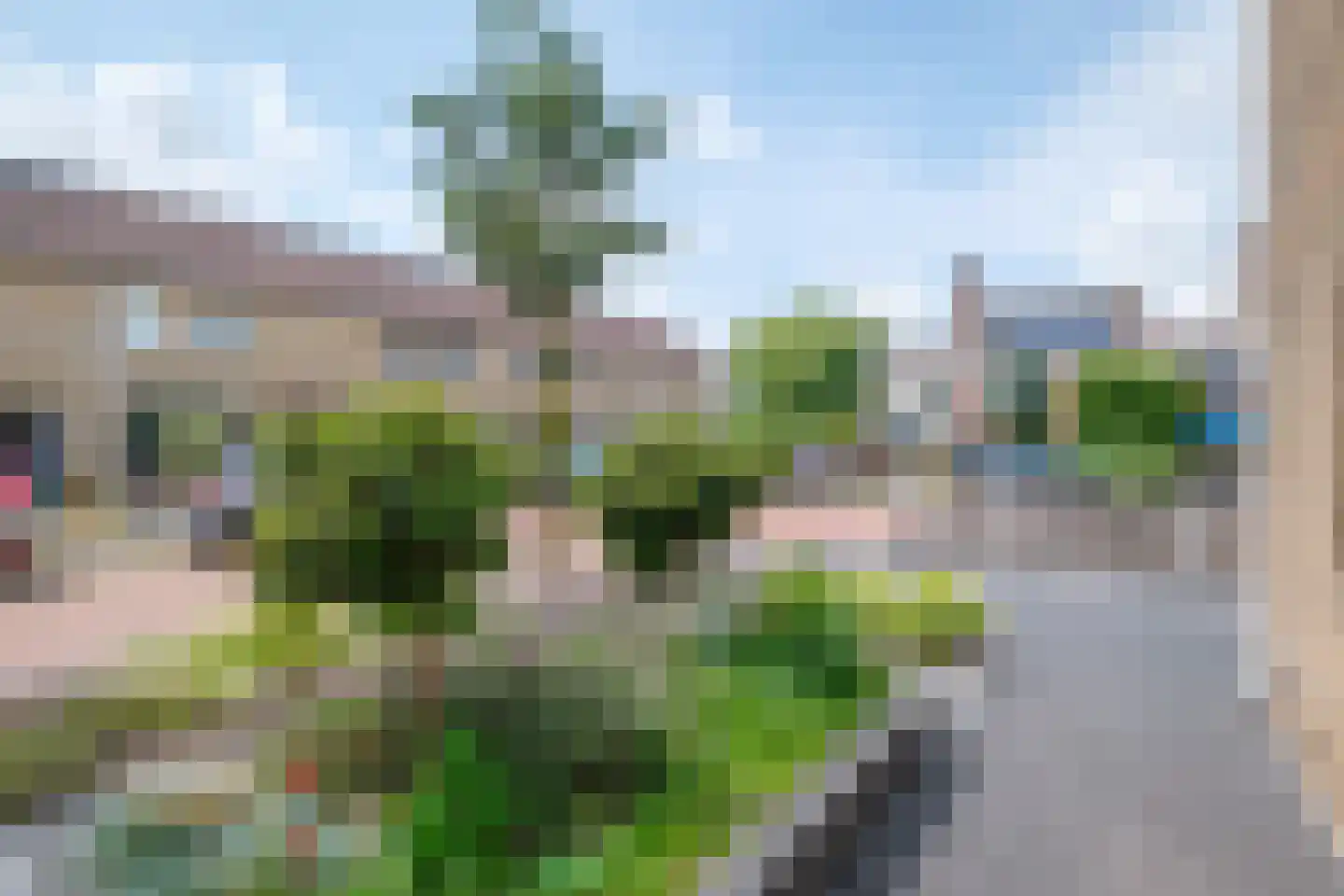 Klaver 15 IJsselmuiden thumbnail 53