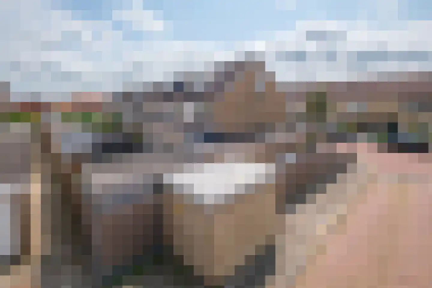 Klaver 15 IJsselmuiden thumbnail 57