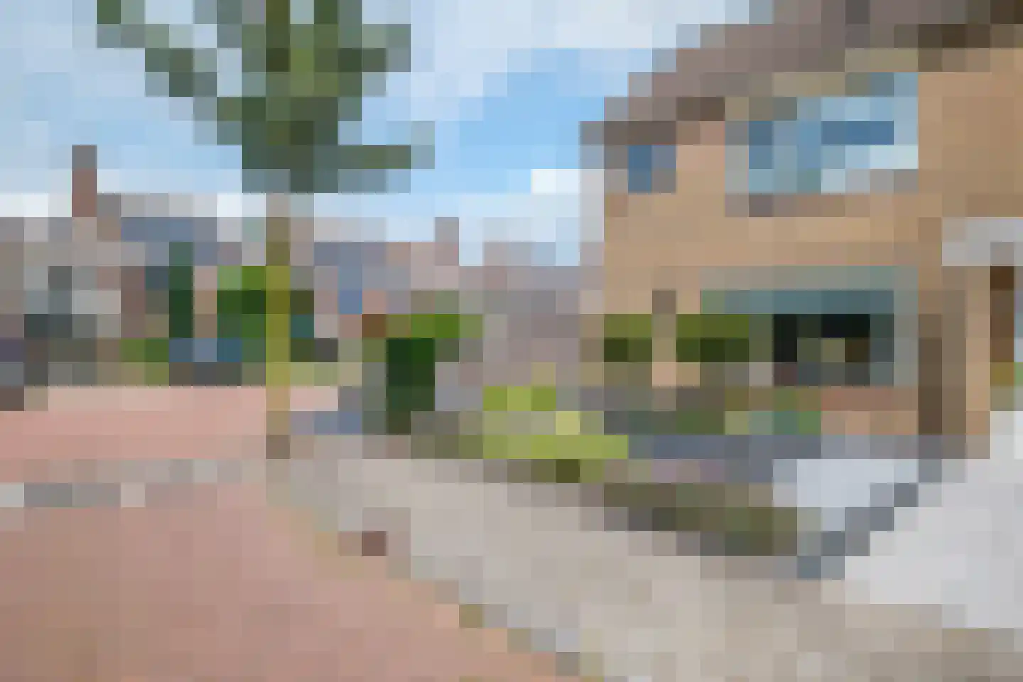 Klaver 15 IJsselmuiden thumbnail 59