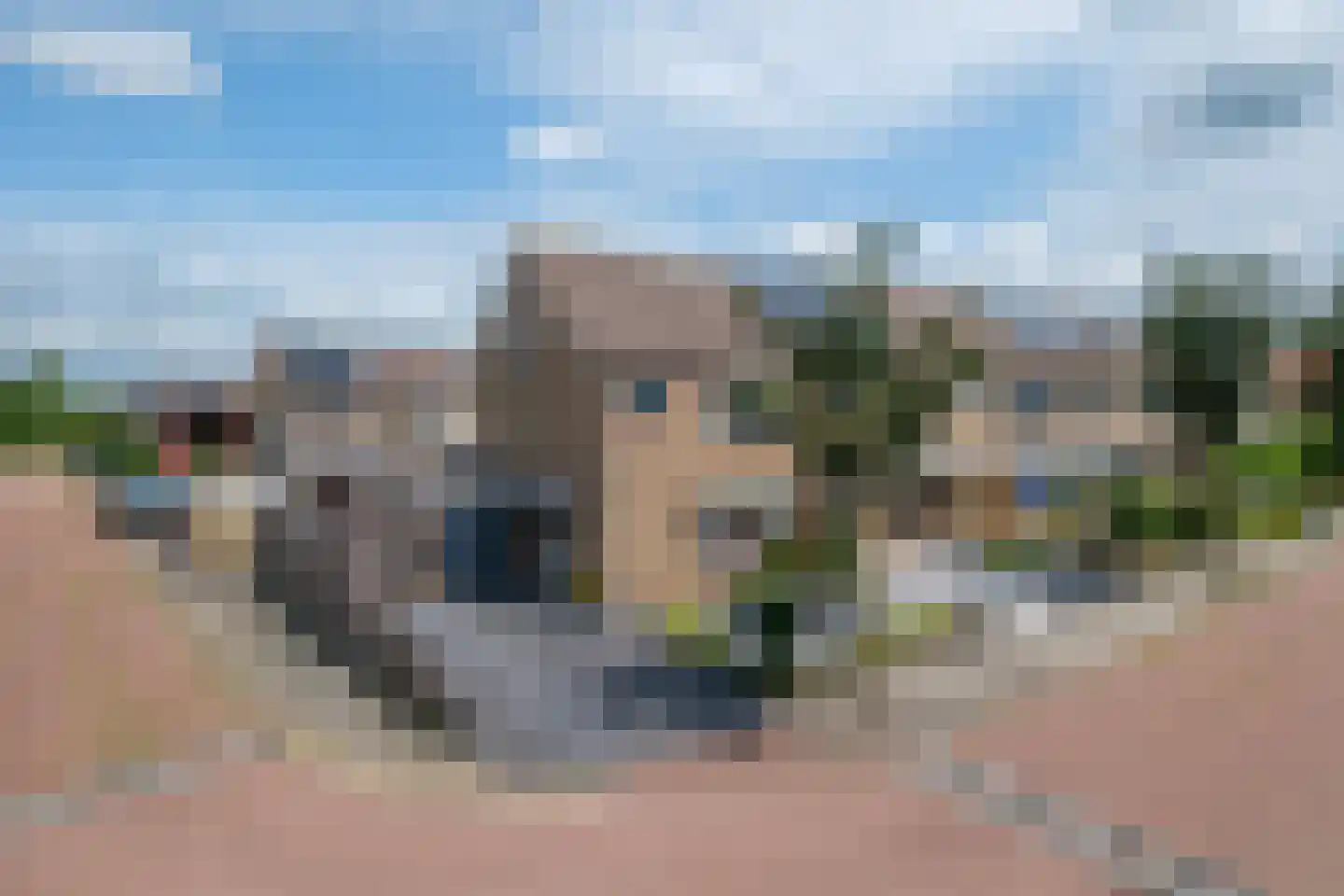 Klaver 15 IJsselmuiden thumbnail 61