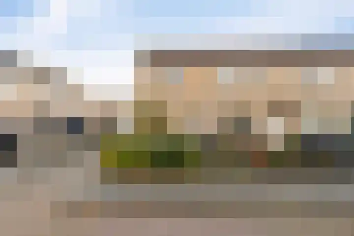 Klaver 2 IJsselmuiden