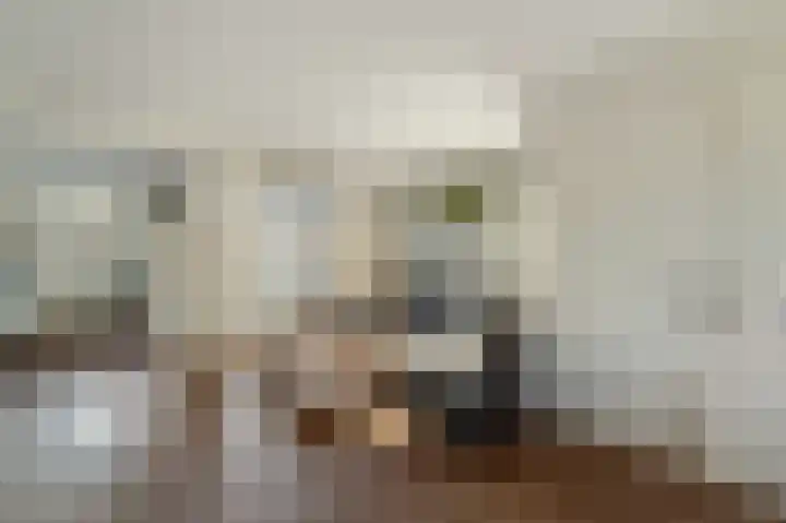 Klaver 2 IJsselmuiden thumbnail 15