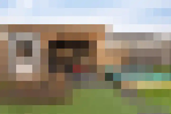 Klaver 2 IJsselmuiden thumbnail 25