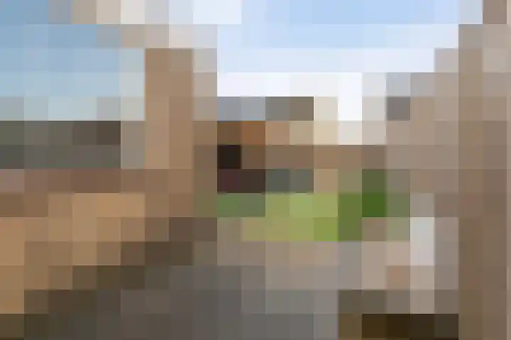 Klaver 2 IJsselmuiden thumbnail 26