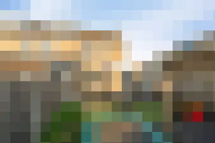 Klaver 2 IJsselmuiden thumbnail 27