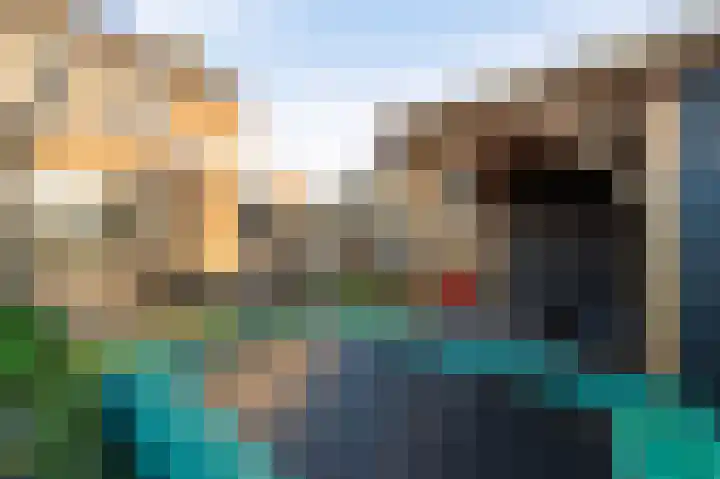 Klaver 2 IJsselmuiden thumbnail 28