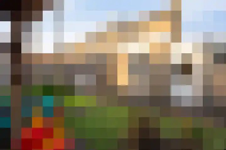 Klaver 2 IJsselmuiden thumbnail 29