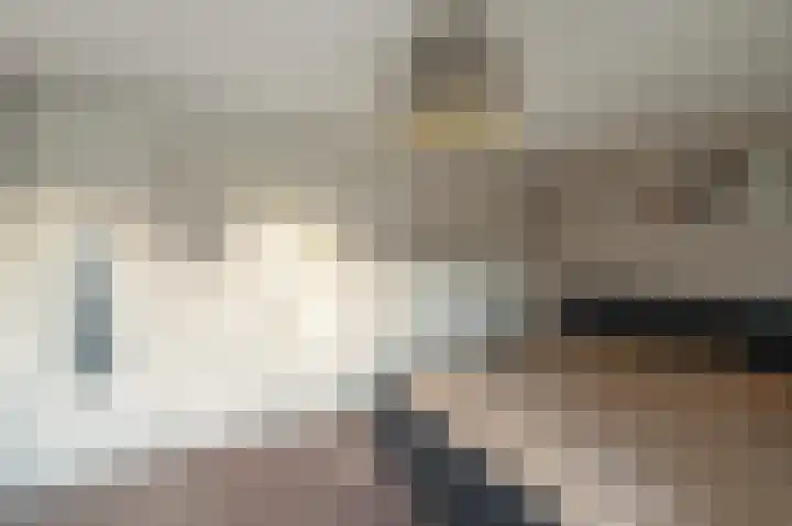 Klaver 2 IJsselmuiden thumbnail 32