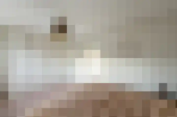 Klaver 2 IJsselmuiden thumbnail 33